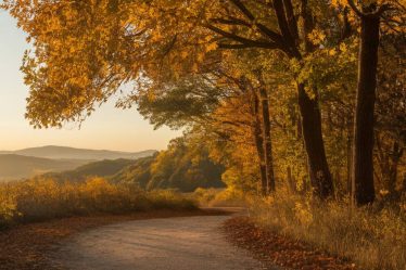 Le più belle passeggiate autunnali nelle colline del Piemonte.