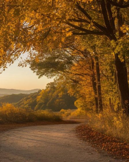 Le più belle passeggiate autunnali nelle colline del Piemonte.